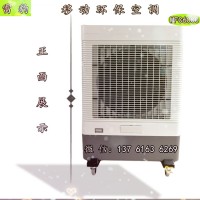 方便移動(dòng)式冷風(fēng)機(jī) 夏季降溫環(huán)?？照{(diào)節(jié)能省電